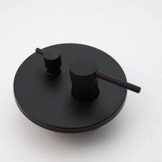 Zwart mengpaneel regendouche